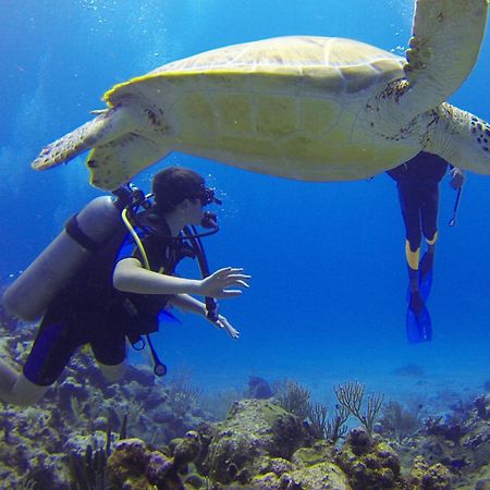 Отель Roxon Red Sea Eilat - Adults Only Экстерьер фото